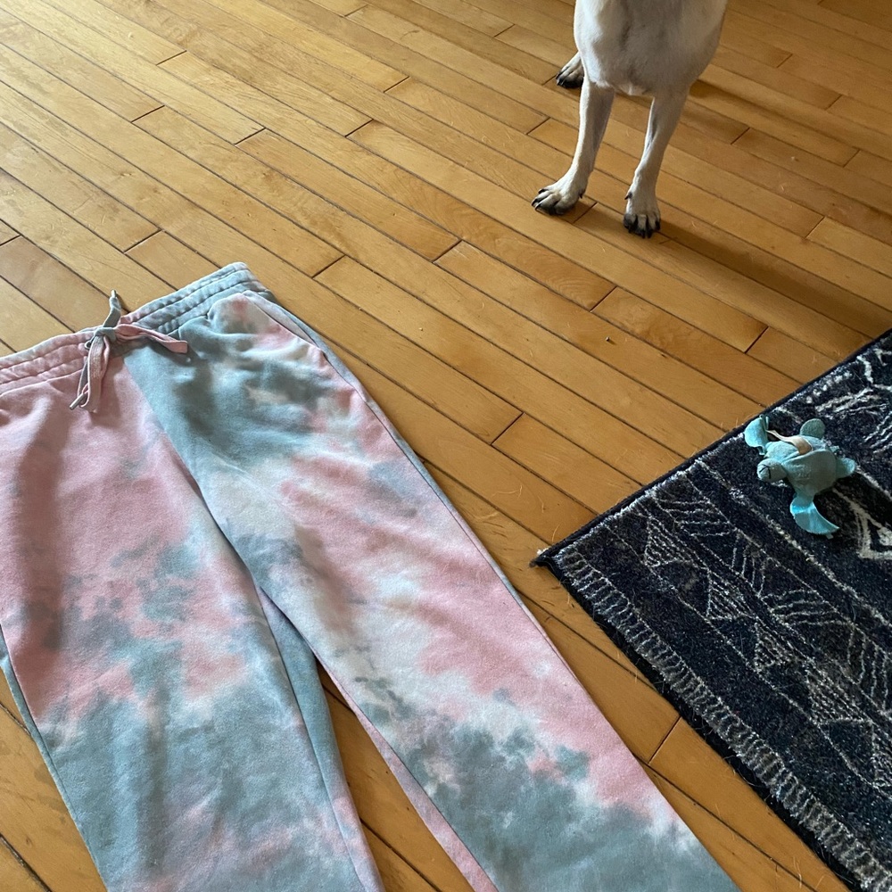 Brand new Steve Madden sweat pants -Small - Picture 3 of 3